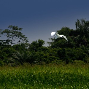 Sobrevuelo Garza